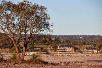 stage one land release wildflower ridge estate