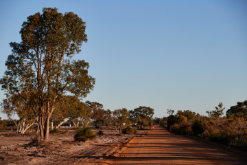 89247-thumnail-stage3-900x600